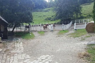 Reitstall Wildegg Bild 3