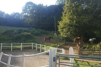 Reitstall Wildegg Bild 5