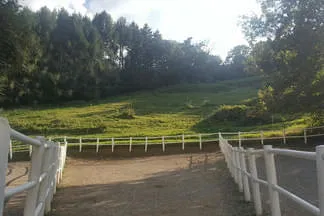 Reitstall Wildegg Bild 11